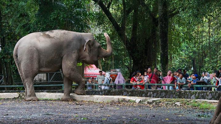 Ragunan - 7 Tempat Wisata Favorit di Jakarta
